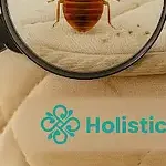 tribeholistictherapy
