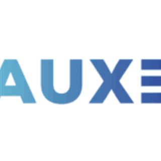 auxettormount1p02