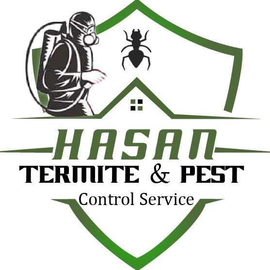 hasantermite