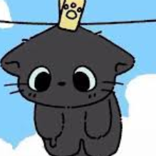 Baixiao