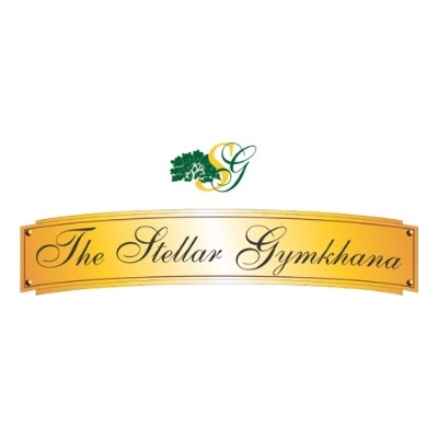 thestellargymkhana