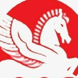 Singhal