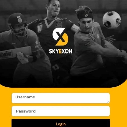 skyexchangee