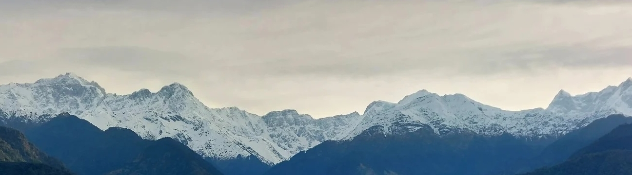 adhvantaindia