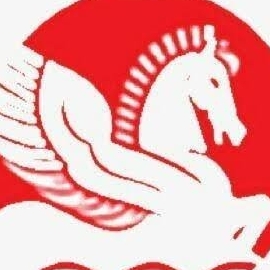 singhalindustries