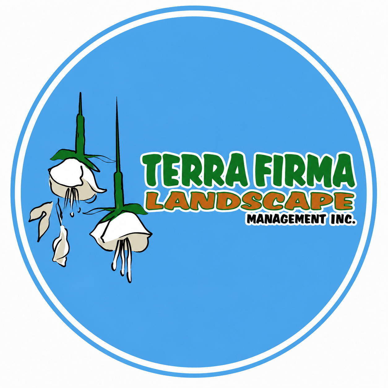 terrafirma